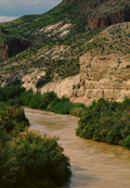 The Rio Grande