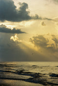 Galveston Gold